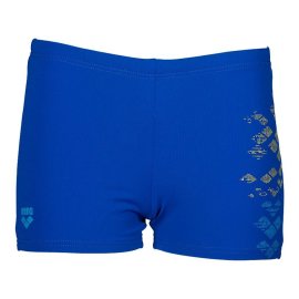 FGL_332912417_40_a-Arena-Mens-Dongle-Long-Shorts-Neon-Blue-002285-800