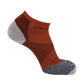LC1130800_0_U_SPEED-SUPPORT