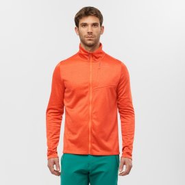 LC1592900_0_MOD_transitionfzmid